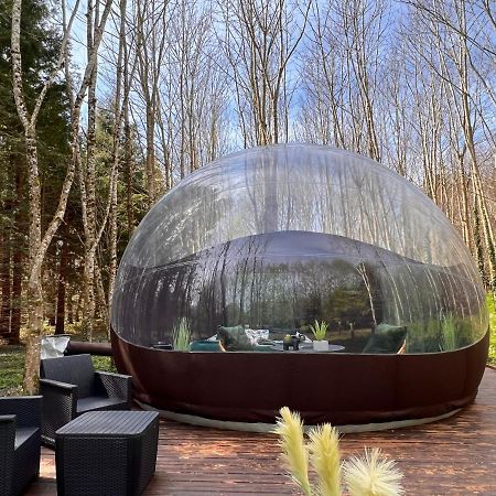 Logement insolite Bubble jungle Saint-Évarzec Exterior foto