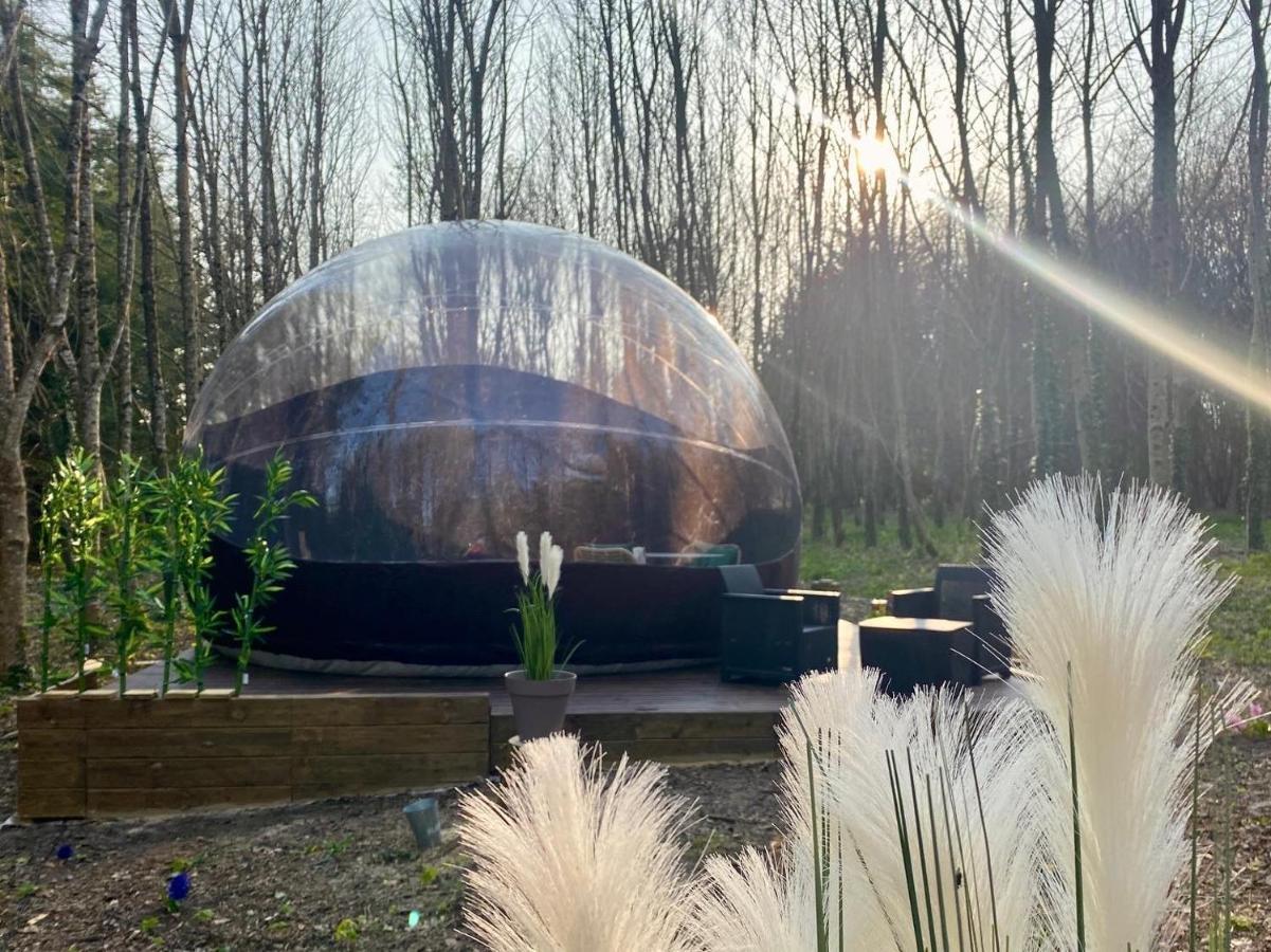Logement insolite Bubble jungle Saint-Évarzec Exterior foto
